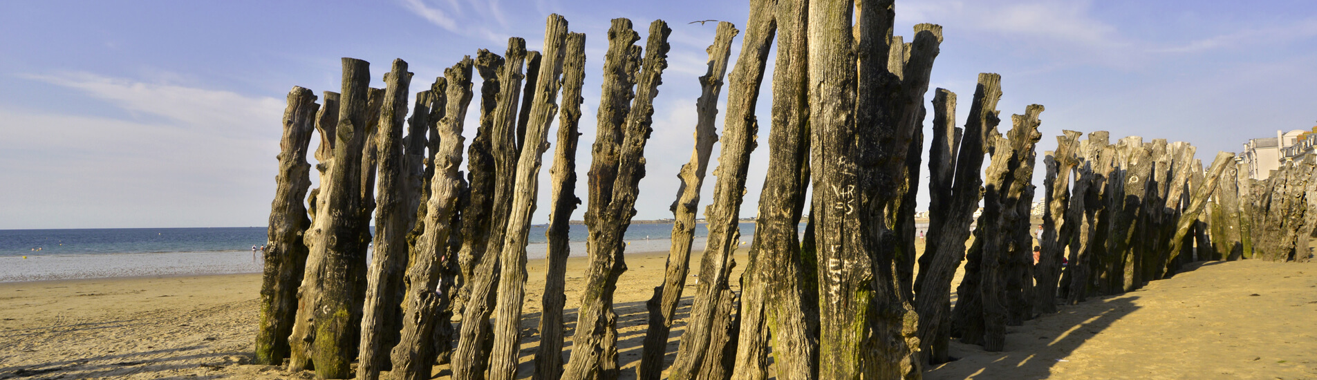 Dentiste Saint Malo